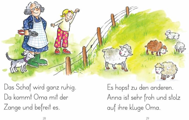 Produktbild LESEZUG/1. Klasse: Anna, Oma und der Bauernhof (Deutsch, Susa Hämmerle, Birgit Antoni, 2017)