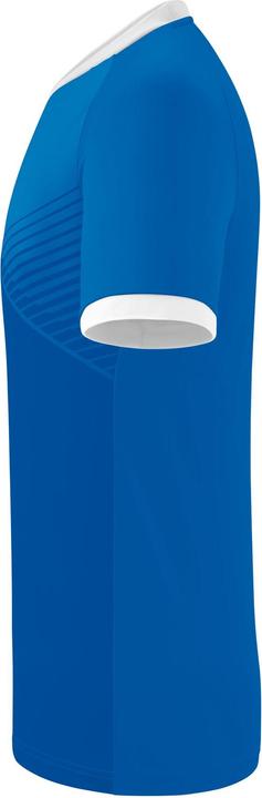 Image du produit Erima Mantua Trikot (XXL)