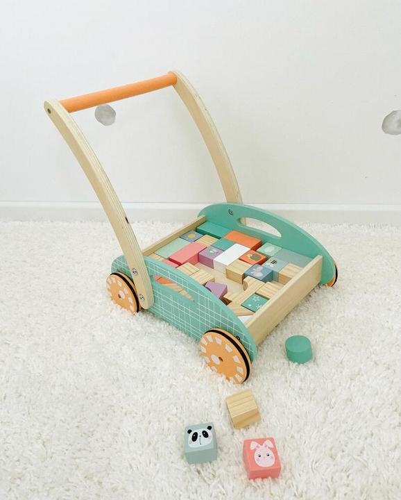 Actual product image small foot Baby walker