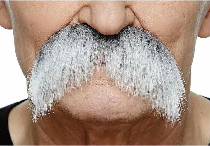 Actual product image My Other Me Moustache accessories for disguise