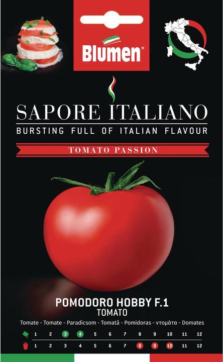 Produktbild Blumen Tomate Hobby F1 (Gemüsesamen)