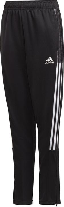 Actual product image adidas Tiro 21 Training Pants Kids (164)