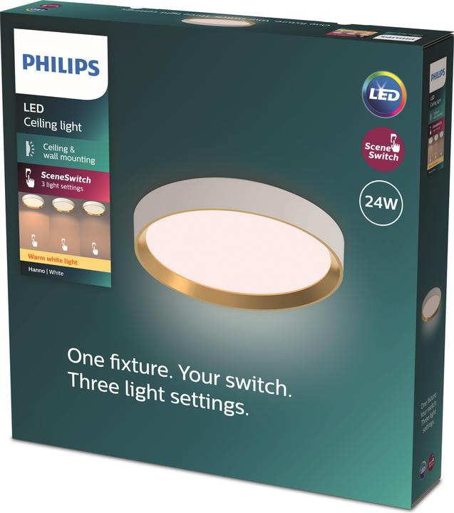 Actual product image Philips Hanno (2700 lm)