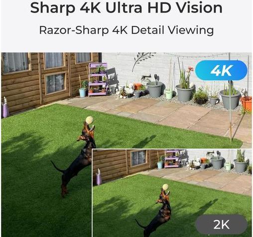 Actual product image Reolink NVS16-8MD8 (3840 x 2160 pixels)