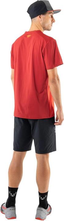 Actual product image Dynafit Transalper Light Dynastretch Shorts (L)
