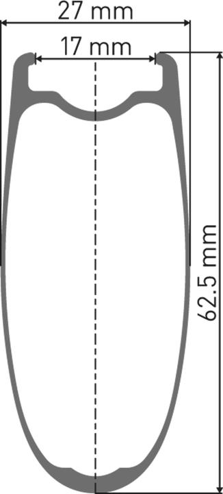 Actual product image DT Swiss ARC 1100 Dicut (Front wheel, 29")