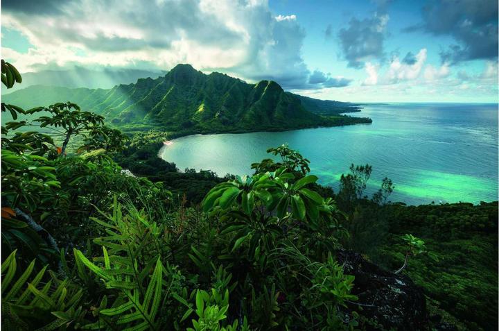 Actual product image Ravensburger Stunning Hawaii (5000 pieces)
