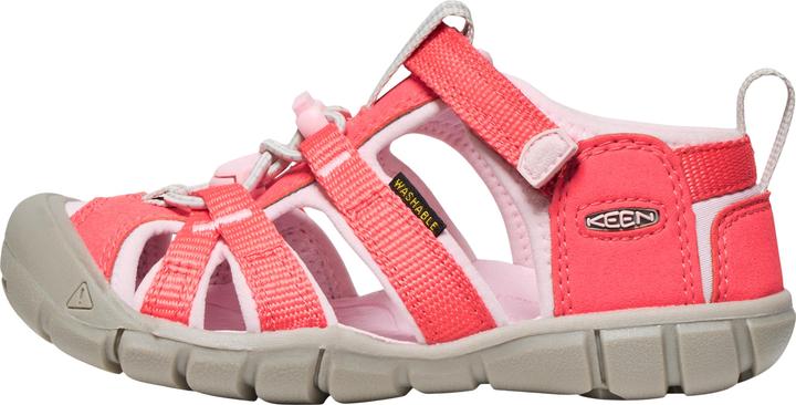 Dubarry, pink-a-boo