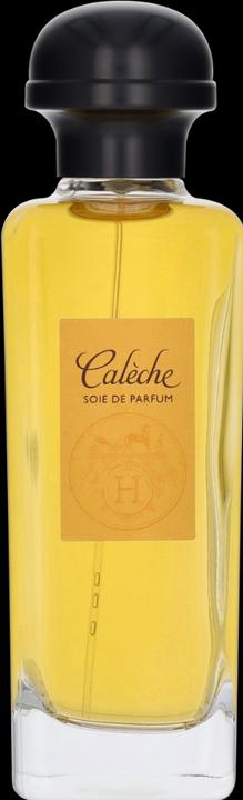 Image du produit Hermès Soie de Parfum (Eau de parfum, 100 ml)