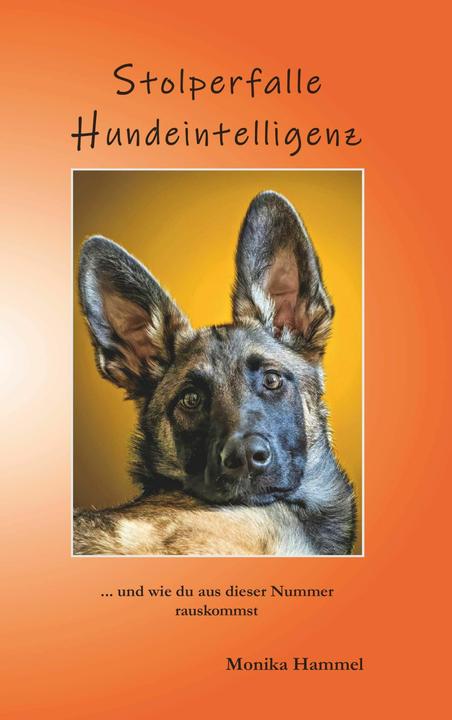 Actual product image Stolperfalle Hundeintelligenz (German, Hammel Monika, 2024)
