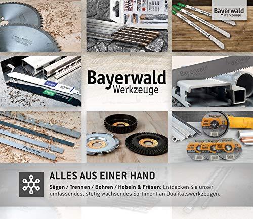 Actual product image Bayerwald Werkzeuge Rasp disc