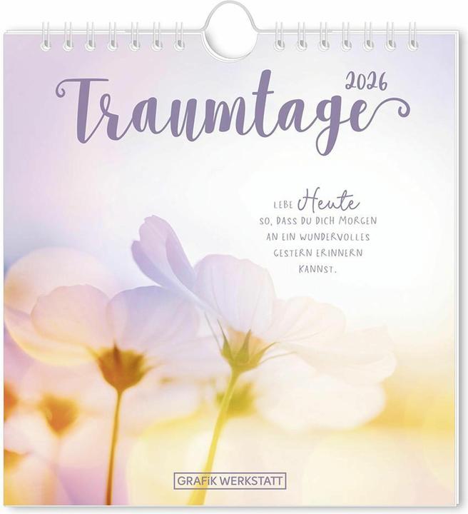 Produktbild Postkartenkalender 2026 Traumtage (16 x 17 cm, Deutsch)