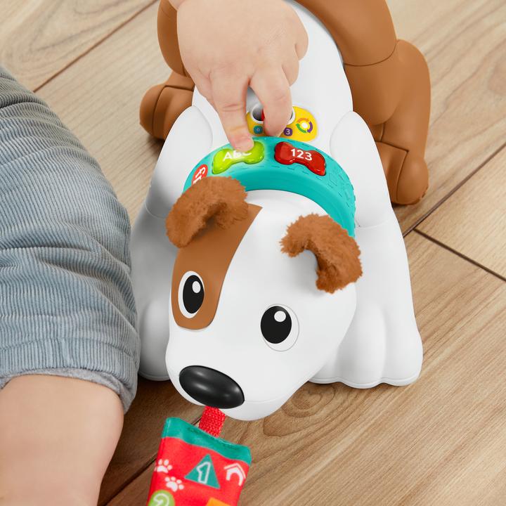 Immagine prodotto Fisher-Price Cane gattonante Bello