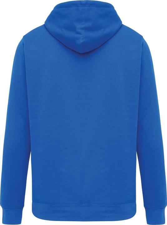 Actual product image Universal Textiles Unisex Adult Rila Recycled Cotton Lightweight Hoodie (XL)