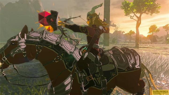 Produktbild Nintendo The Legend of Zelda: Tears of the Kingdom Collector's Edition (Switch, Multilingual)