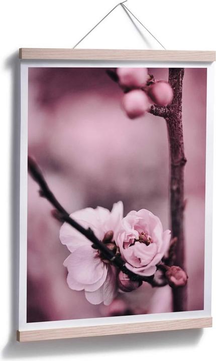 Produktbild Trenddeko Blütenknospen (40 x 50 cm)