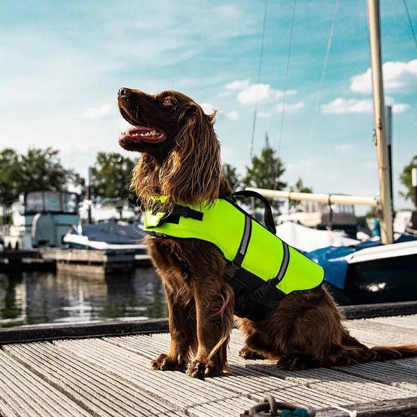 Image du produit Nobby Aide à la natation pour chiens (XS, Gilet de sauvetage pour chien)