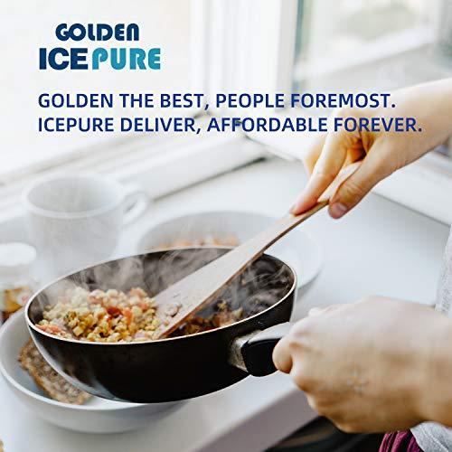 Actual product image Golden Icepure Activated charcoal filter cooker bonnet