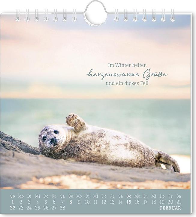 Image du produit Postkartenkalender 2026 Strandgut (16 x 17 cm, Allemand)