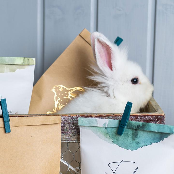 Actual product image Papierdrachen 12 Easter Printed Gift Bags - Watercolour with Gold Foiling -Set 8 (Gift bag, 12 x)