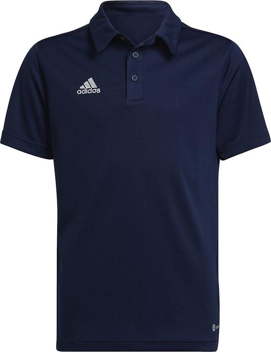 dark blue / white