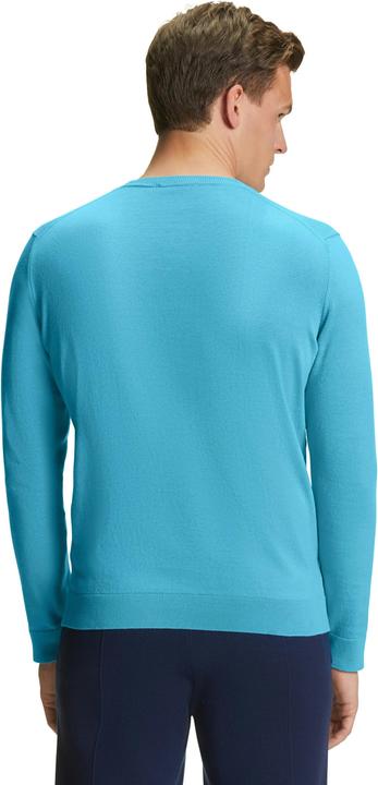 Actual product image Falke Men Pullover (S)