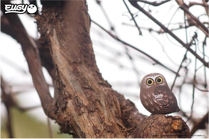 Actual product image Eugy Owl