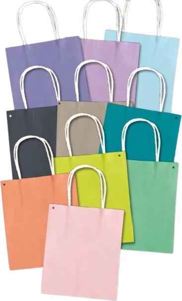 Immagine prodotto Folia Sacchetti di carta (Borsa da regalo, 20 x)