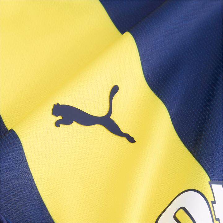Actual product image Puma FSK Home Jersey Replica Jr (116)