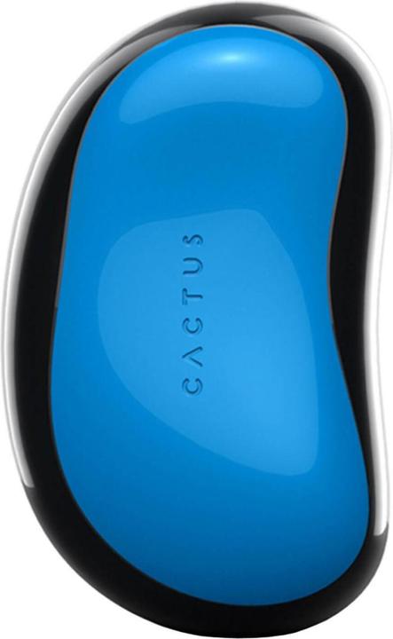 Image du produit Cactus Barbora - Lueur nordique
