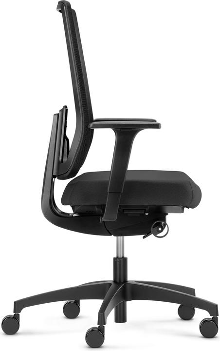 Actual product image Dauphin 7056 SLP