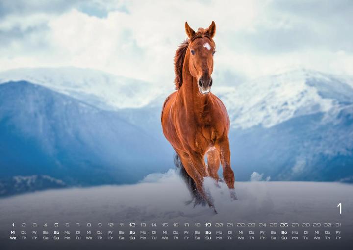Produktbild Pferdegeflüster - Der Pferdekalender - (Deutsch)