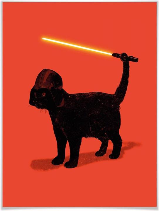 Produktbild Trenddeko Cat Vader (40 x 50 cm)