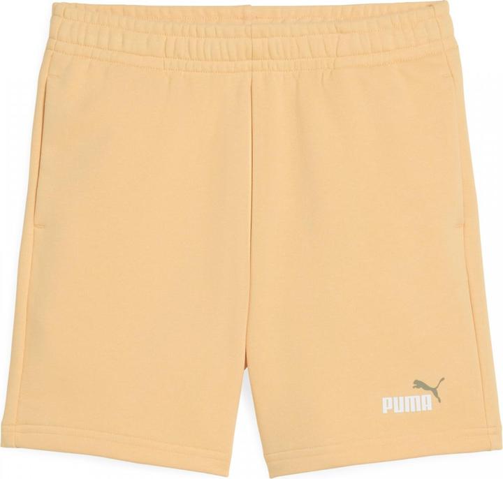 Puma ESS 2 COLOR No. 1 Logo Shorts TR B