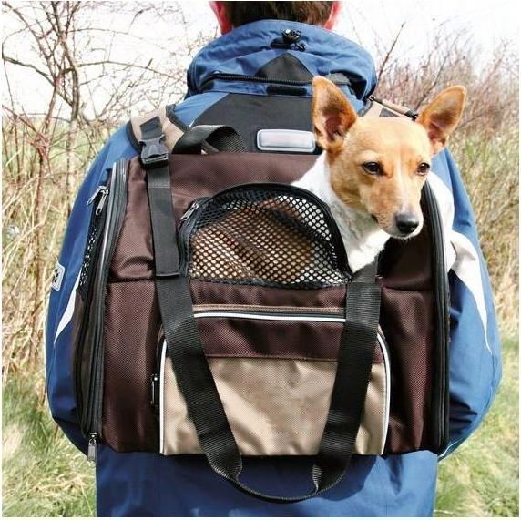 Produktbild Trixie Shiva (Hund, Katze, Sicherheitsverschluss)