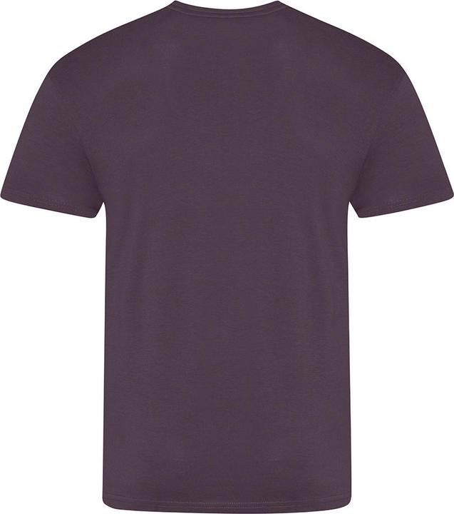Image du produit Awdis The 100 Tshirt (XL)