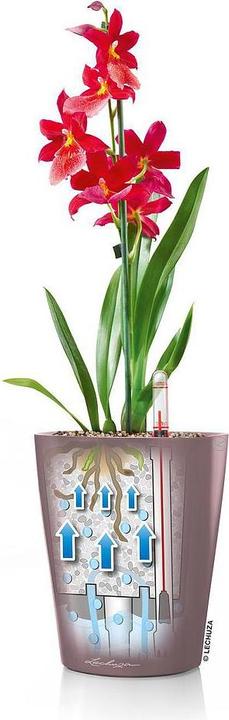 Produktbild Lechuza Mini Deltini (10 cm)
