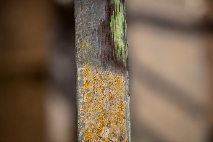 Produktbild Scheppach Metalldrahtbürste