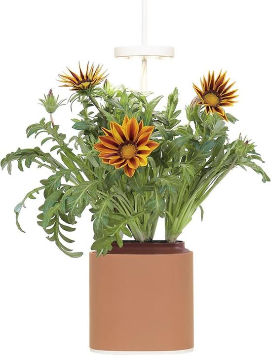 Pot à herbes Nano, Terracota (13.50 cm)