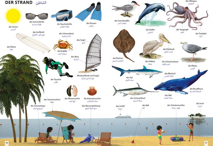 Produktbild Bildwörterbuch für Kinder und Eltern Ar (Deutsch, Arabisch, Igor Jourist, 2024)
