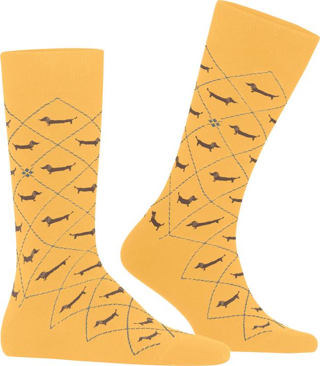 Image du produit Burlington Dachshund SO (40 - 46)