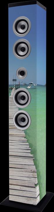 Actual product image Lenco IBT-6 Sea (Electrical connection)