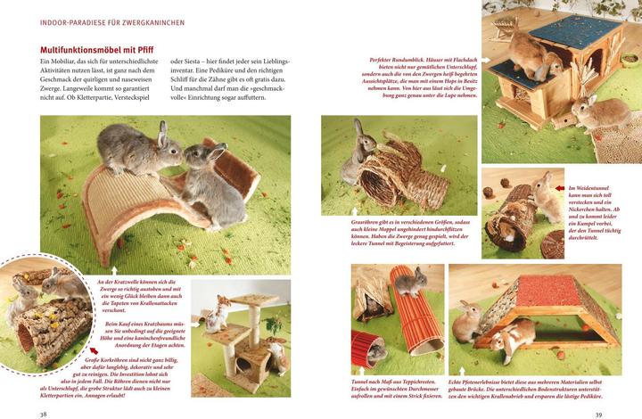 Actual product image Spiel- & Wohnideen Zwergkaninchen (German, Esther Schmidt, 2011)
