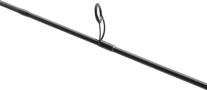 Actual product image Mitchell Epic R Spinning (Spinning rod, 210 cm)