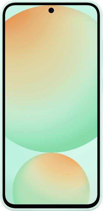 Actual product image Samsung Silicone Case (Samsung Galaxy S24 FE)