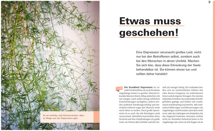Produktbild Depression. Das Richtige tun (Deutsch, Dr. Christine Hutterer, Prof. Dr. Christine Rummel-Kluge, 2020)
