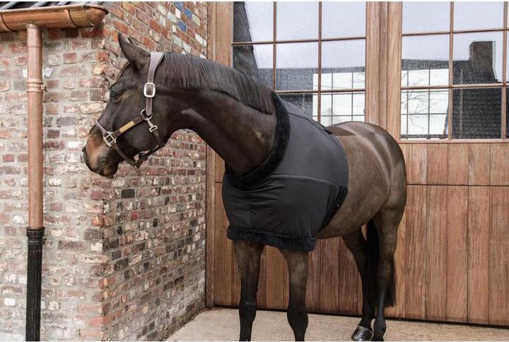 Image du produit Kentucky Horsewear Protège-poitrine