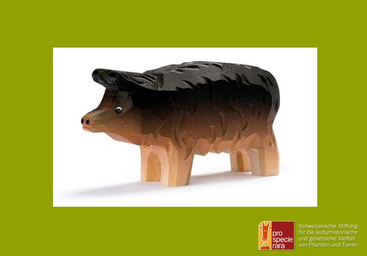 Image du produit Trauffer Cochon laineux grand