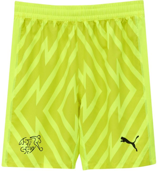 Actual product image Puma SFV GK Shorts Replica Jr (164)