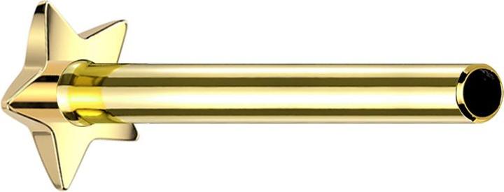 Actual product image Star Piercing Micro threadless labret rod star gold-plated (Titanium G23, without brass)
